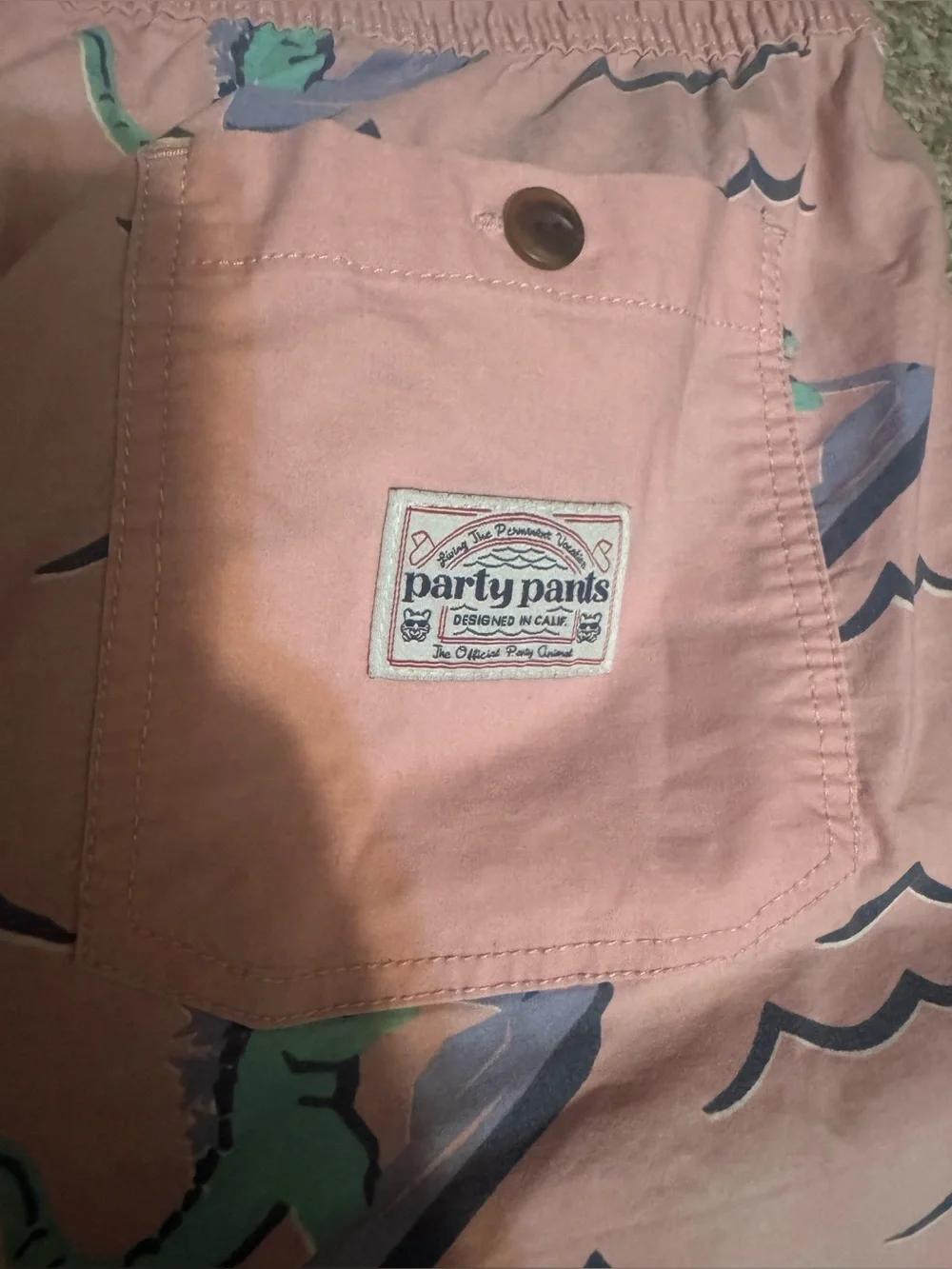 Party Pants Men's Dino Ripper board shorts